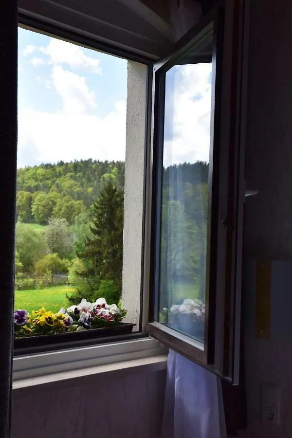 Landhotel Steigerwaldhaus Burghaslach Hotel